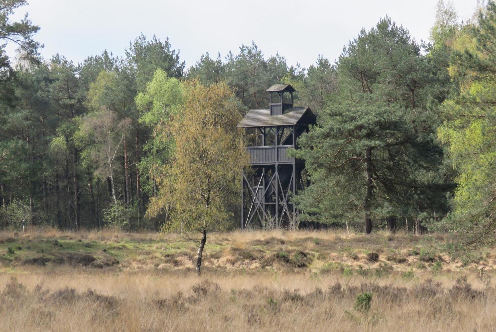 Huisje De Geluksvogel Zorgvlied Extérieur photo